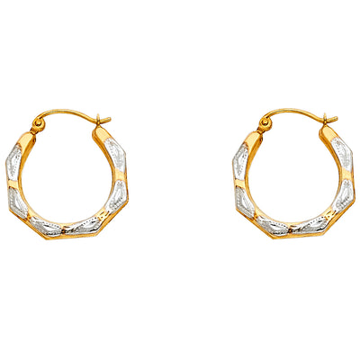 14K Gold Fancy Hollow Hoops