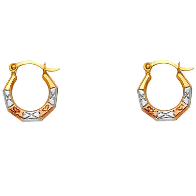 14K Gold Fancy Hollow Hoops