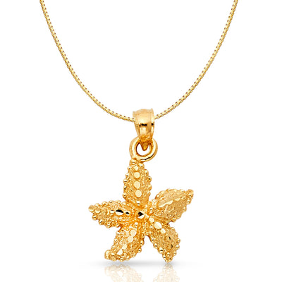 14K Gold Starfish Charm Pendant with 0.8mm Box Chain Necklace