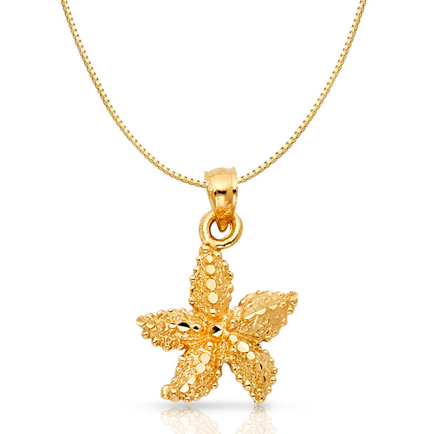 14K Gold Starfish Charm Pendant with 0.8mm Box Chain Necklace