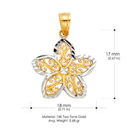 14K Gold Star Flower Pendant with 1.2mm Flat Open Wheat Chain