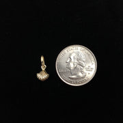 14K Gold Clam Shell with Fresh Water Cultured Pearl Charm Pendant