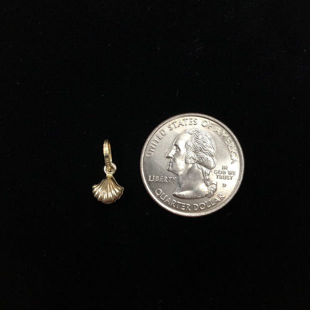 14K Gold Clam Shell with Pearl Charm Pendant with 1.6mm Figaro 3+1 Chain Necklace