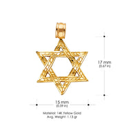 14K Gold Star of David Charm Pendant with 0.9mm Wheat Chain Necklace