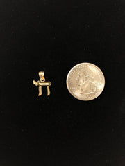 14K Gold Greek letter Pi Symbol or Mathematics Sign Charm Pendant
