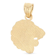 14K Gold Lion Charm Pendant with 2.3mm Figaro 3+1 Chain Necklace