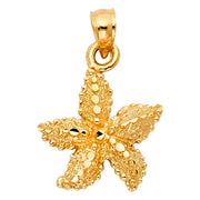 14K Gold Starfish Charm Pendant with 0.8mm Box Chain Necklace